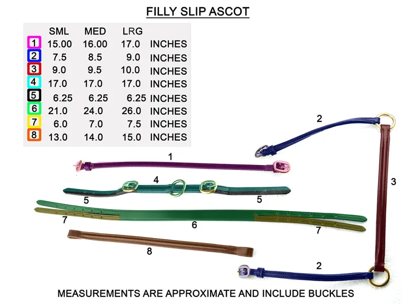 Dever Ascot Filly Slip-4