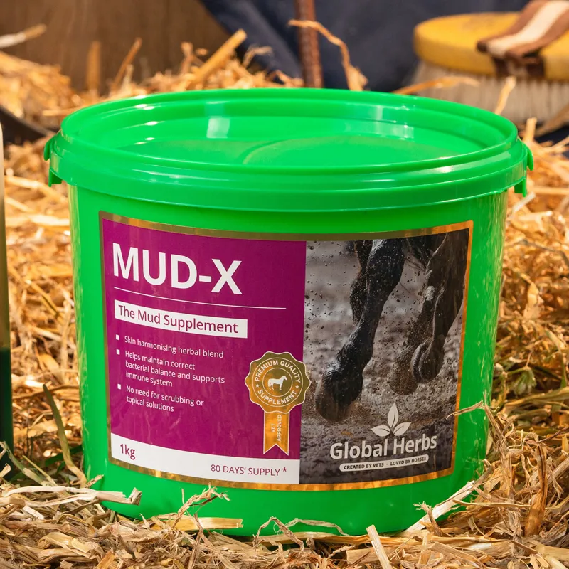 Global Herbs 1kg Mud-X