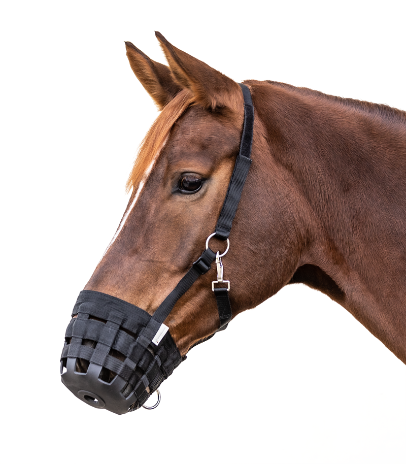Waldhausen Grazing Muzzle size Pony Black-1
