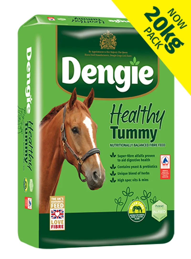 Dengie Healthy Tummy 20kg