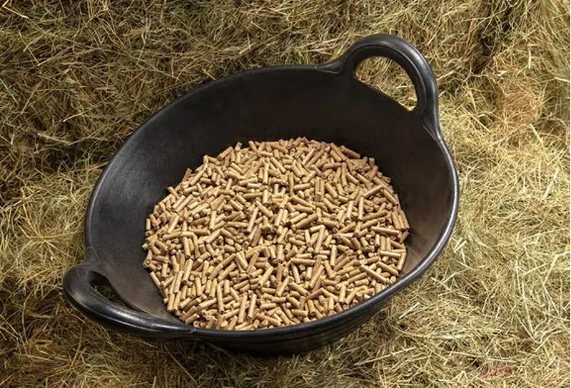 Spillers Horse and Pony Cubes 20kg-1