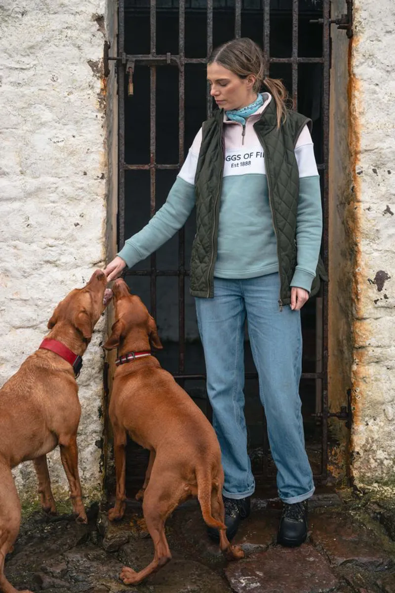 Hoggs of Fife Dumfries 1888 1/4 Zip Sweatshirt in Mineral Blue White and Pink-3