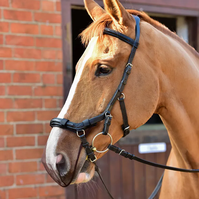 Equilibrium Net Relief Riding Anatomic Muzzle Nets in Black. Medium/Large 2 Pack