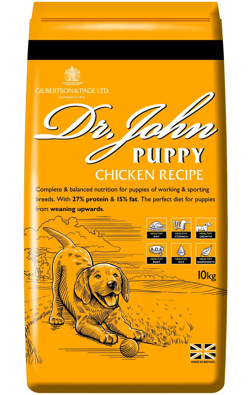 Dr John Silver Puppy 10kg