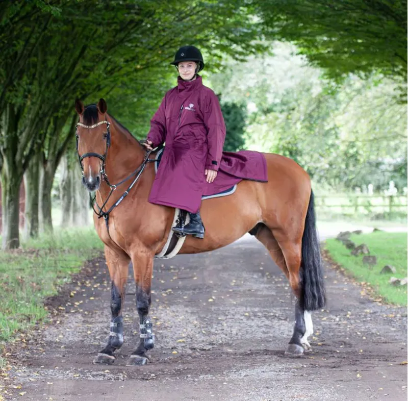 Equidry Pro Ride Evolution Lite in Plum/Plum-1