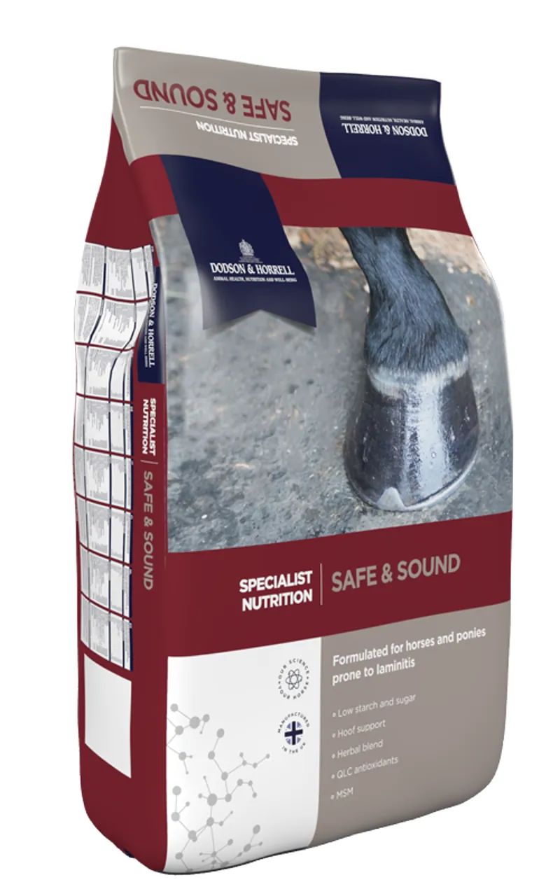Dodson and Horrell Safe and Sound 18kg