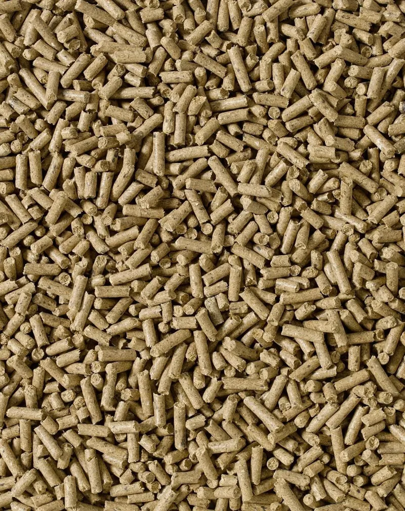 Saracen Condition Improver Cubes 20kg-1