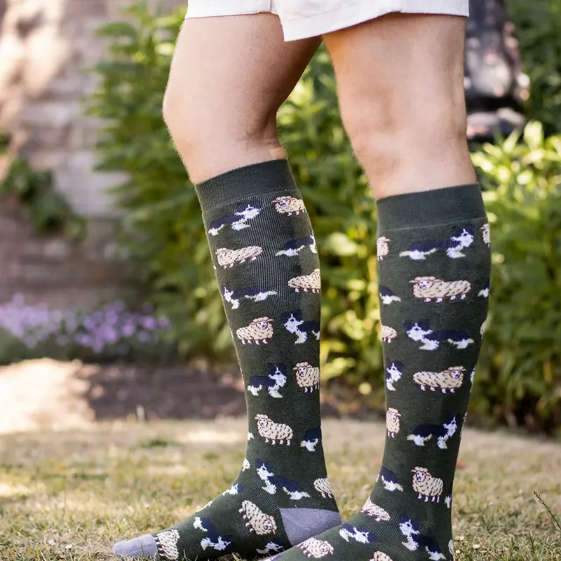 Bartleby Funky Sheepdog Welly Socks-2