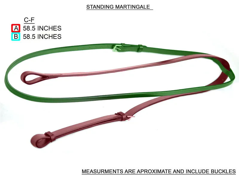 Dever Ascot Standing Martingale Cob-Full-4