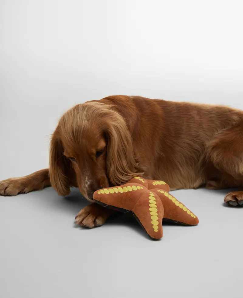 Barbour Starfish Dog Toy-2