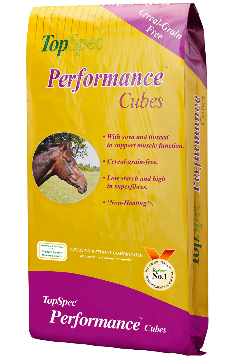 Topspec Performance Cubes 20kg
