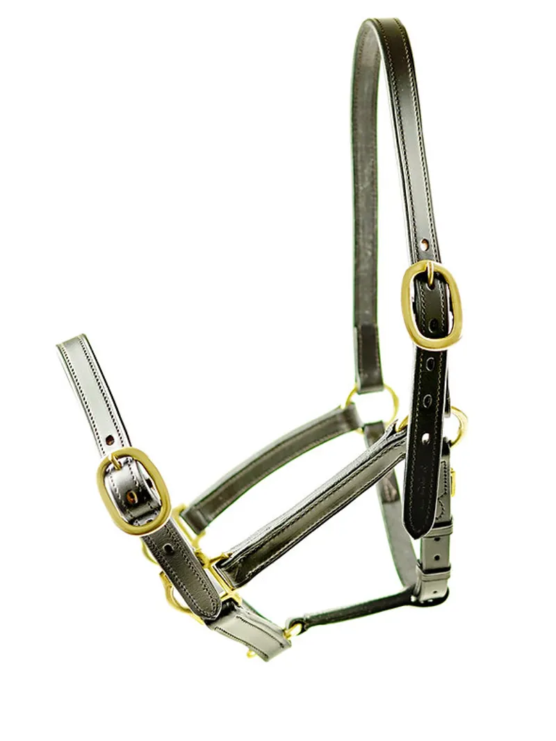 Dever Ascot Weaning to Yearling Headcollar-1