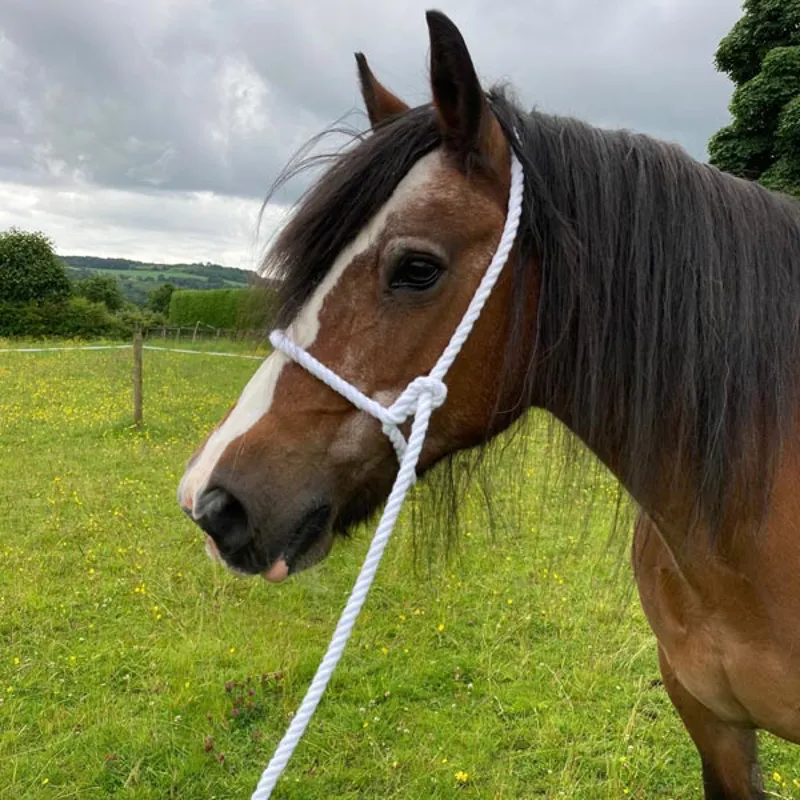 Elico White Rope Halter
