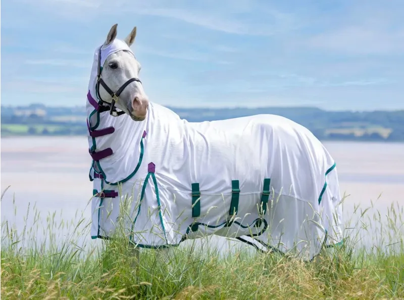 Highlander Plus Fly Sheet Combo Rug in White