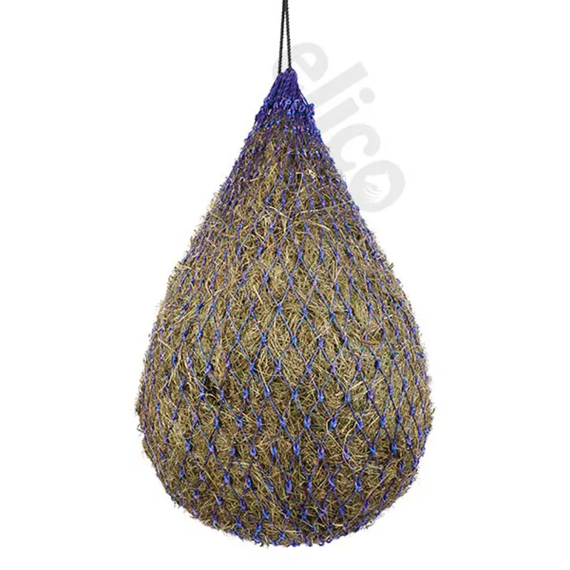 Elico Polperro Haynet in Cerise/Royal