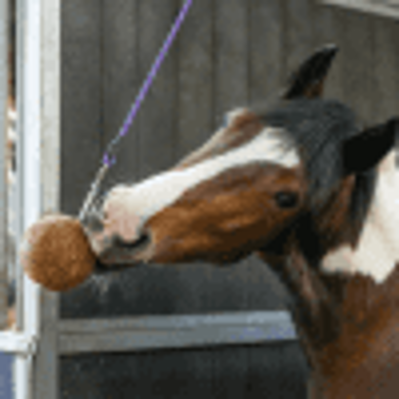 Likit GranoLo Stall-Ball - 1.5 kg-1