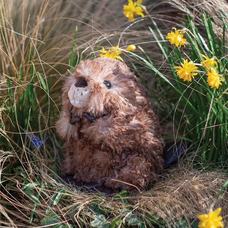 Wrendale Chester the Beaver Junior Plush Character-3