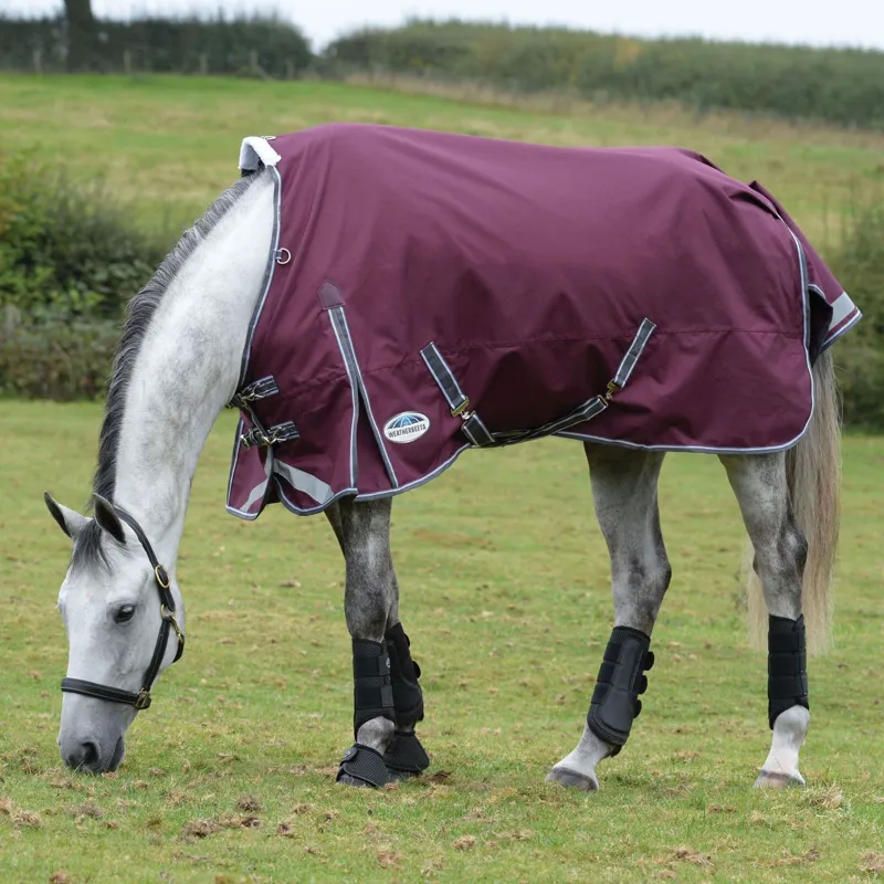 Weatherbeeta Plus Dynamic Standard Neck 100g 