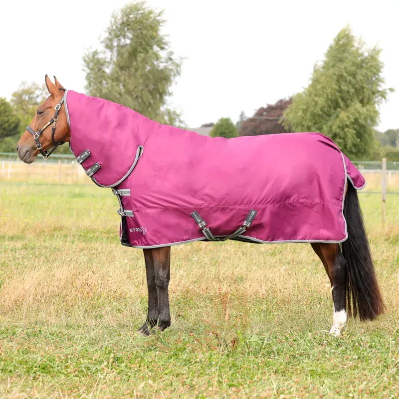 StormX Empra 200 Combi Turnout Rug in Purple