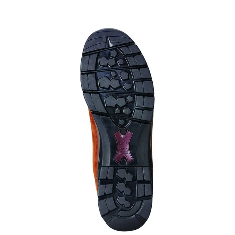 Ariat Torridon H2O GTX in Brown-3