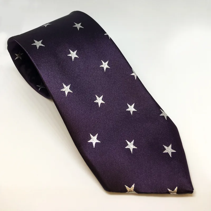 Junior Stars Show Tie in Purple Metallic Silver