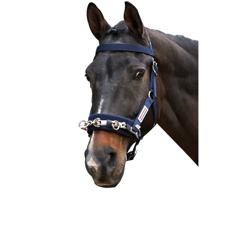 Whitaker Cob Lunge Cavesson in Blue